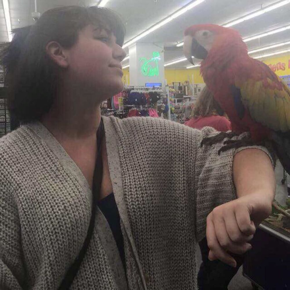 Meet your Posher, Sarah